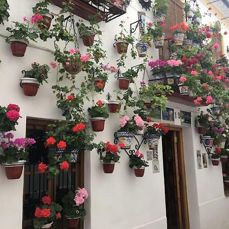 Apartamento El Templo 科爾多瓦 外观 照片