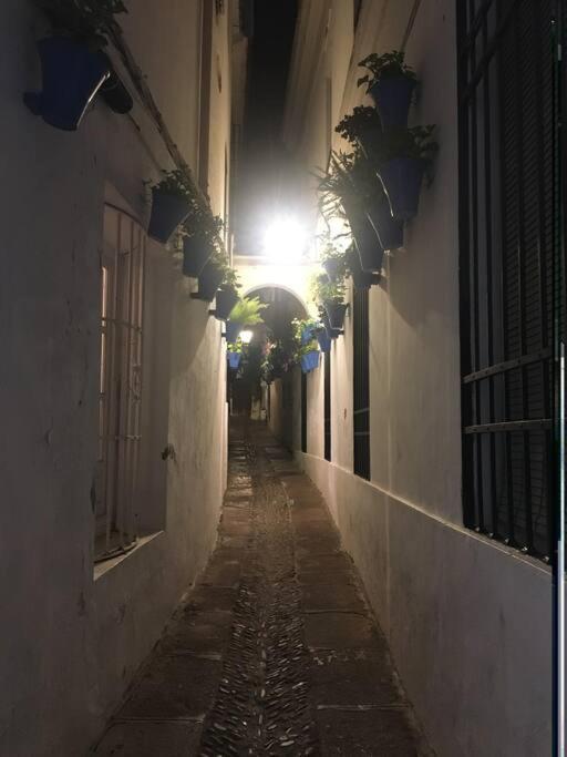 Apartamento El Templo 科爾多瓦 外观 照片