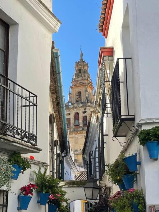 Apartamento El Templo 科爾多瓦 外观 照片